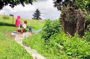 Bienvenue dans mon jardin au naturel - le Jardin des petites mains