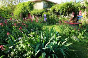 photo Bienvenue dans mon jardin au naturel - le Jardin de la mère Cucu