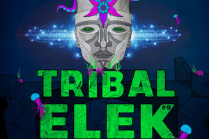 Festival TRIBAL ELEK