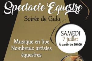 Soirée de gala spectacles équestres