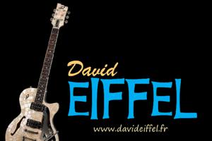 photo Concert Fête de la musique - David EIFFEL