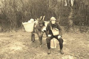 photo L'âne en guerre (et autres animaux soldats)