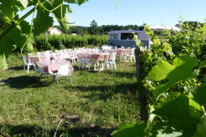 photo guinguette dans les vignes