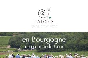 23ème balade gourmande de Ladoix