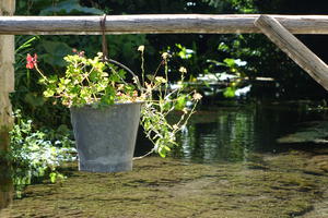 photo Balade Vouhé au fil de l'eau