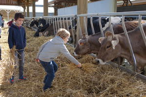 photo Visite et goûter à la ferme