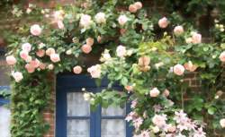 Visite jardins Oise verte et bleue