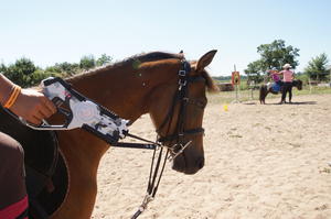 photo Laser Game à Poney ou à Pied