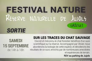 Sortie nature 