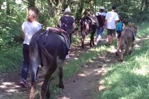 Randonnée guidée avec des ânes Auriac de Bourzac