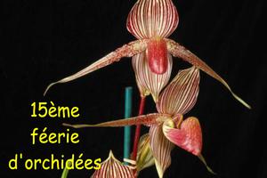 15ème féerie d'orchidées d'Avrechy