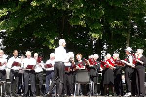 photo ANIMATION CHORALE au Forum des Associations