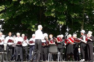 photo ANIMATION CHORALE au Forum des Associations