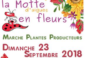 La motte en fleurs