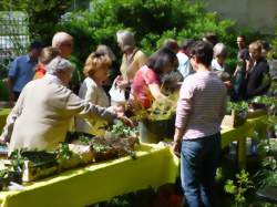 Bourse aux Plantes de printemps