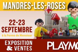 photo Exposition et Vente de Playmobil à Mandres Les Roses