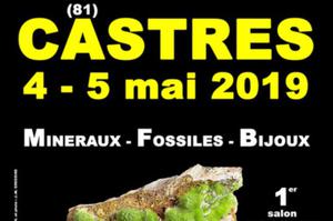 1er SALON MINERAUX FOSSILES BIJOUX de CASTRES - TARN - OCCITANIE - FRANCE