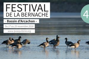 photo Festival de la Bernache - 4ème édition