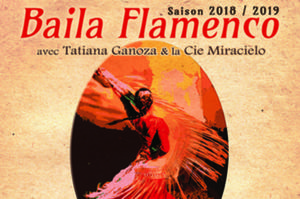 photo Baila Flamenco
