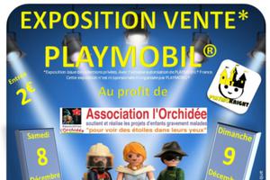 photo Exposition Vente Playmobil