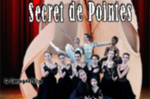 photo SECRETS DE POINTES