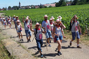 Le Chemin Gourmand de Nuits-Saint-Georges