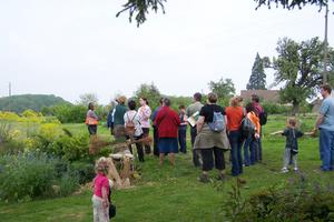 photo balade du curieux : botanique et musique