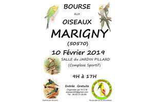 photo Bourse aux oiseaux exotiques