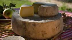 Visite de la fromagerie de Blanzay