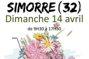 photo Marché aux fleurs