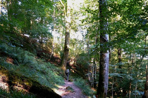 Rando- bivouac dans les gorges du chavanon