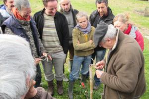 Greffe et taille douce des fruitiers