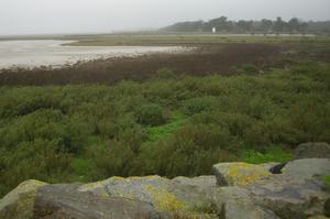 Collecte de déchets - Baie de Bourgneuf