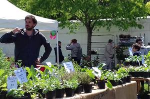 photo FETE DES FLEURS