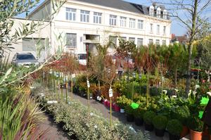 photo Foire aux arbres et aux plantes