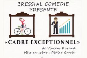 Cadre exceptionnel de Vincent Durand par Bressial Comédie