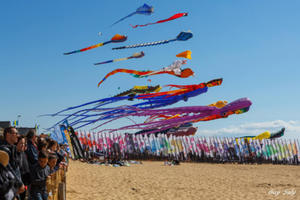 Festival du cerf-volant de Châtelaillon 2019