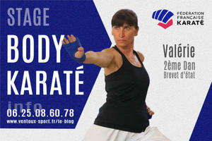 Stage gratuit de Body Karaté