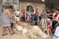 Foire aux laines