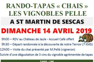 RANDO TAPAS CHAIS LES VIGNOBLES PELLE