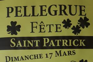 Fête de la Saint Patrick et Marché de Printemps