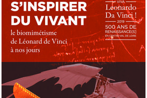 photo S’inspirer du vivant : le biomimétisme de Léonard de Vinci à nos jours