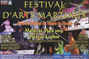 photo Festival d'arts martiaux