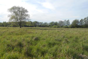 Le marais de la Vanne