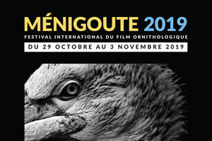 Festival International du Film Ornithologique