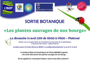 photo Sortie botanique : « Les plantes sauvages de nos bourgs »