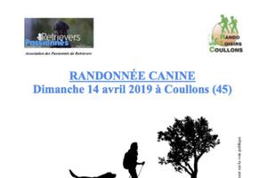 RANDONNÉE CANINE DIMANCHE 14 AVRIL 2019 À COULLONS