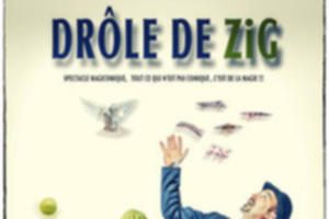 Drôle de Zig-Les Matinées Ludiques