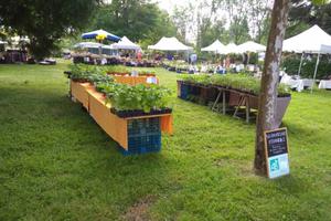 Roseraie - Art et Fleurs en Morvan