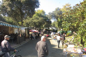 photo VIDE GRENIER / BROCANTE